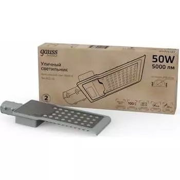Уличный светильник Gauss LED Avenue 629534250