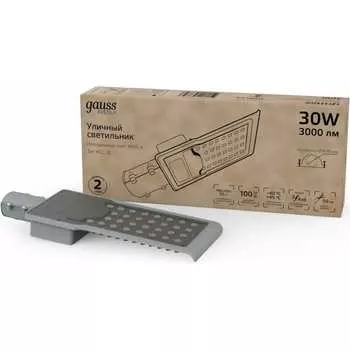 Уличный светильник Gauss LED Avenue 629534230