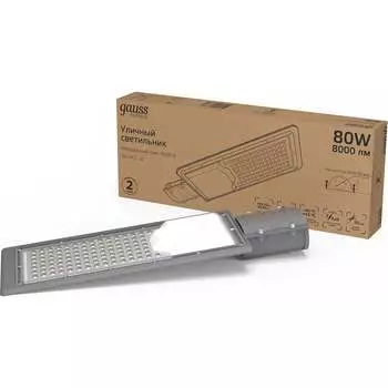 Уличный светильник Gauss LED Avenue 629534280