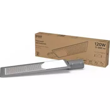 Уличный светильник Gauss LED Avenue 629534220