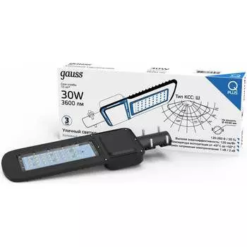 Уличный светильник Gauss Qplus 629535330