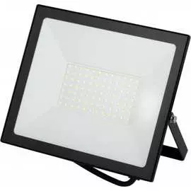 Уличный светодиодный прожектор ЭРА LPR024065K100 Б0054268