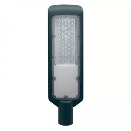 Уличный светодиодный светильник duwi СКУ-04 25079 1