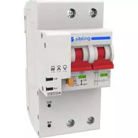 Умный двухполюсный автоматический выключатель SIBLING