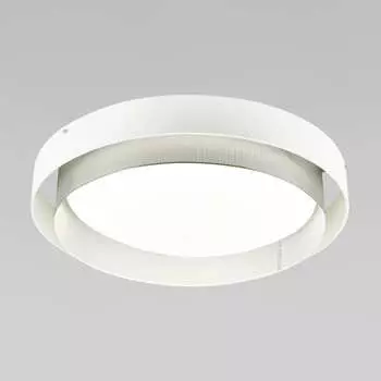 Умный потолочный светильник Eurosvet