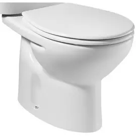 Унитаз под бачок Roca Victoria 00008275