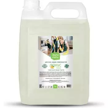 Универсальное моющее средство Жили-Мыли Локус 4623721540318