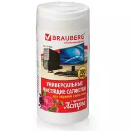 Универсальные влажные чистящие салфетки для экранов и пластика BRAUBERG Астра 511689