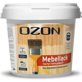 Универсальный акриловый лак OZON