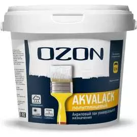 Универсальный акриловый лак OZON