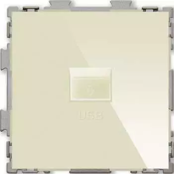 Usb розетка CGSS Практика PL-W201U-BGG