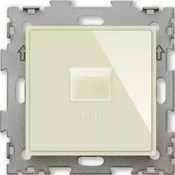 Usb розетка CGSS Эстетика GL-W201U-BGG