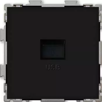 Usb розетка CGSS Практика PL-W201U-BCM