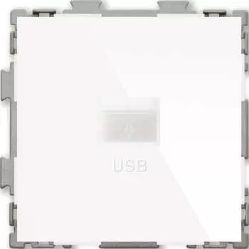 Usb розетка CGSS