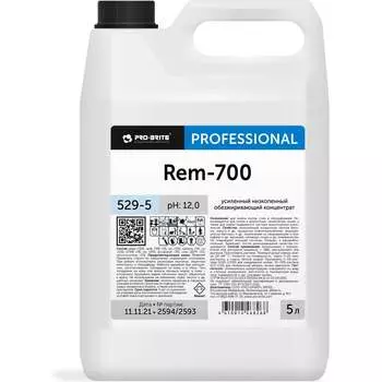 Усиленный низкопенный обезжиривающий концентрат PRO-BRITE REM-700 529-5