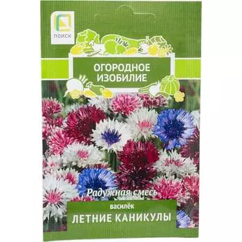Василек Агрохолдинг ПОИСК Летние каникулы ОИ 706217