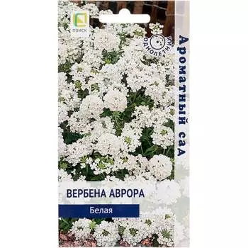 Вербена аврора Агрохолдинг ПОИСК Белая 839229