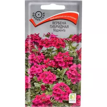 Вербена гибридная Агрохолдинг ПОИСК Маджента 180022