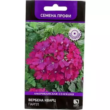 Вербена кварц Агрохолдинг ПОИСК Парпл 831442