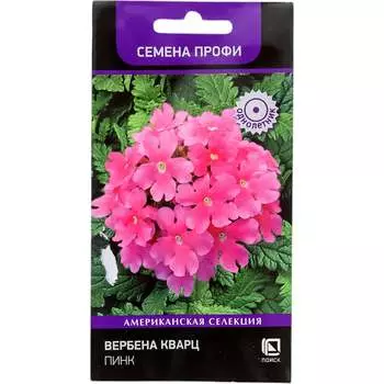 Вербена кварц Агрохолдинг ПОИСК Пинк 832224