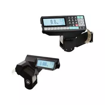 Весовой терминал МАССА-К R2P 20808