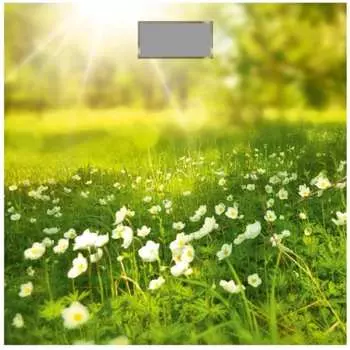 Весы Добрыня DO 3006G