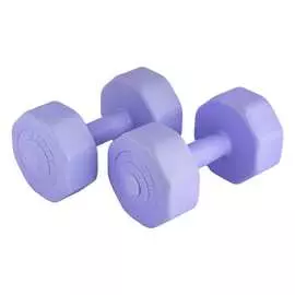 Виниловые гантели ATEMI AD028 00000089533