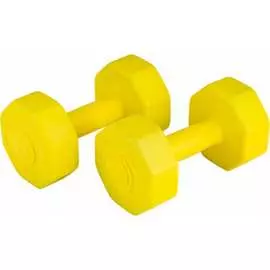 Виниловые гантели ATEMI