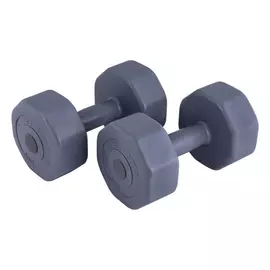 Виниловые гантели ATEMI AD0210 00000096752