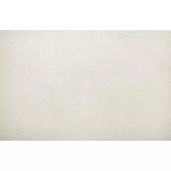 Виниловые обои Elysium