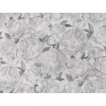 Виниловые обои Elysium