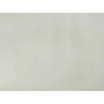 Виниловые обои Elysium