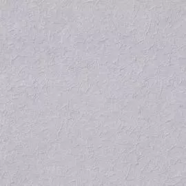 Виниловые обои EURO DECOR