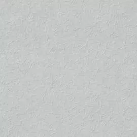 Виниловые обои EURO DECOR