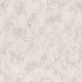 Виниловые обои EURO DECOR