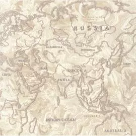 Виниловые обои ORNAMY