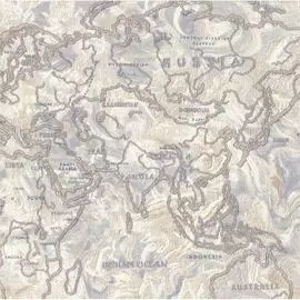 Виниловые обои ORNAMY