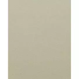 Виниловые обои Vernissage