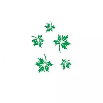 Виниловый трафарет STMDECOR HW-087