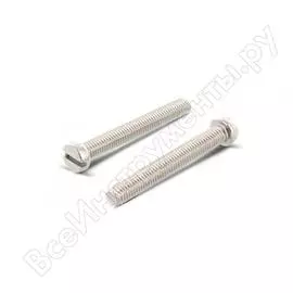 Оцинкованный винт ЦКИ М2.5х4 DIN84 4060