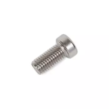 Винт ЦКИ М12x25 DIN7984 100 шт. 69497