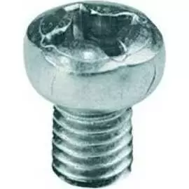 Винт DKC М6x10 CM090610