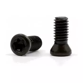 Винт для крепления пластин DESKAR 00-00035199