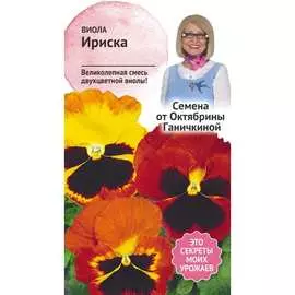Виола семена ОКТЯБРИНА ГАНИЧКИНА