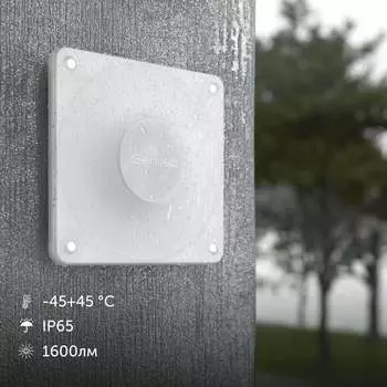 Влагостойкий вандалоустойчивый настенный уличный светодиодный светильник для сада и дачи Geniled 8219 08219