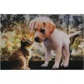 Влаговпитывающий коврик VORTEX