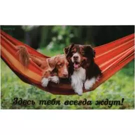Влаговпитывающий коврик VORTEX Samba Собаки в гамаке 24217
