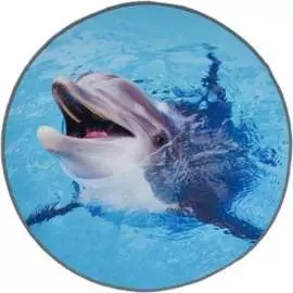 Влаговпитывающий коврик VORTEX