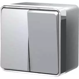 Влагозащищенный двухклавишный выключатель WERKEL W5020206 a052771
