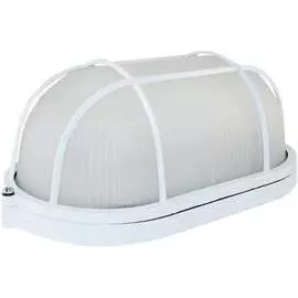 Влагозащищенный светильник TDM ELECTRIC НПБ1202 SQ0303-0038